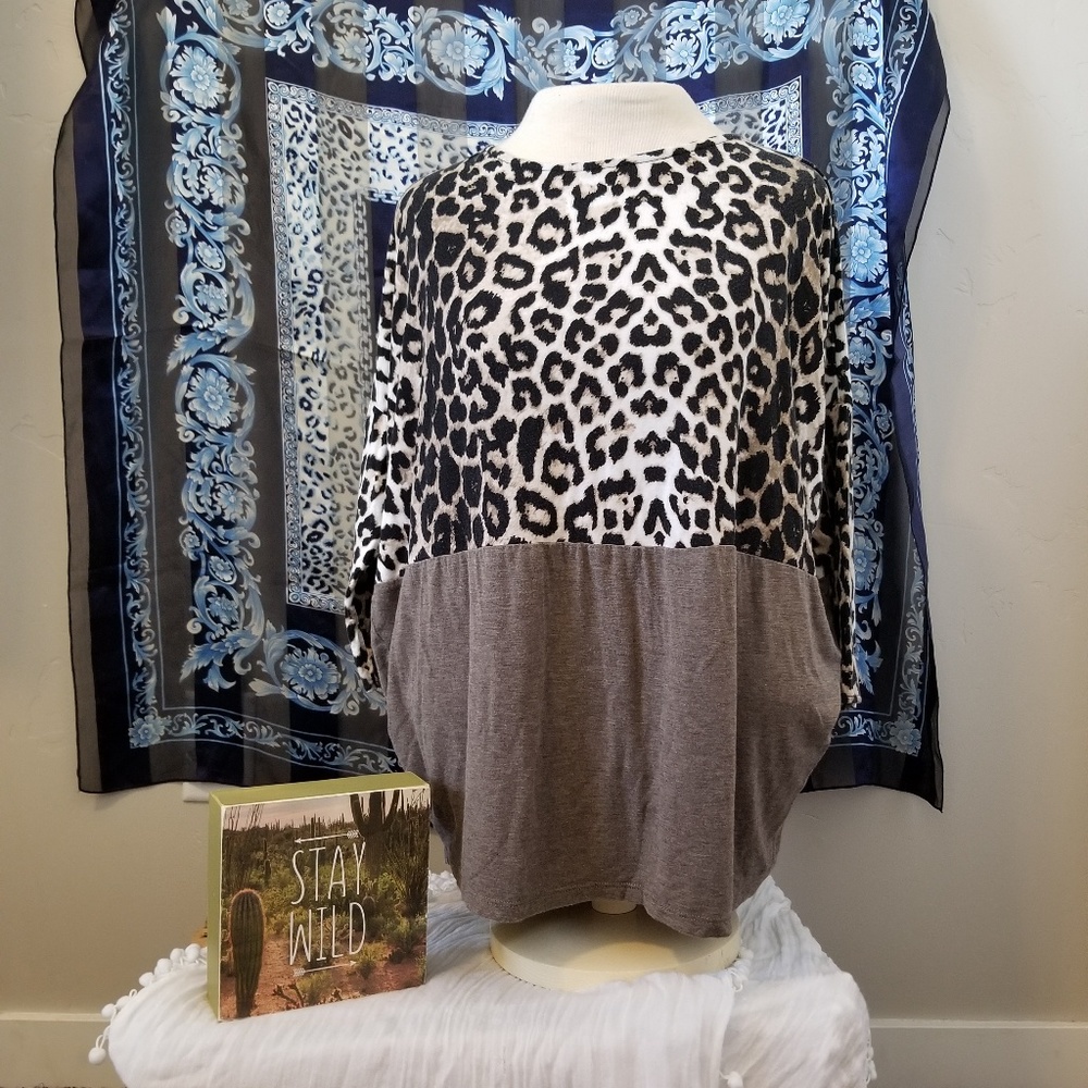 Zara Leopard Top